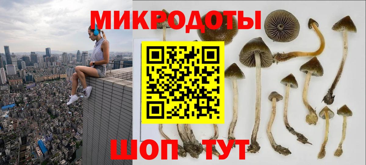 Псилоцибиновые грибы Cubensis  Вход с VPN  купить   Коряжма 