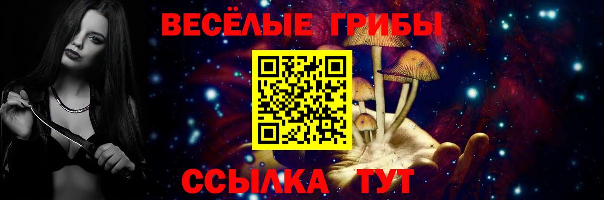 Псилоцибиновые грибы ЛСД Коряжма